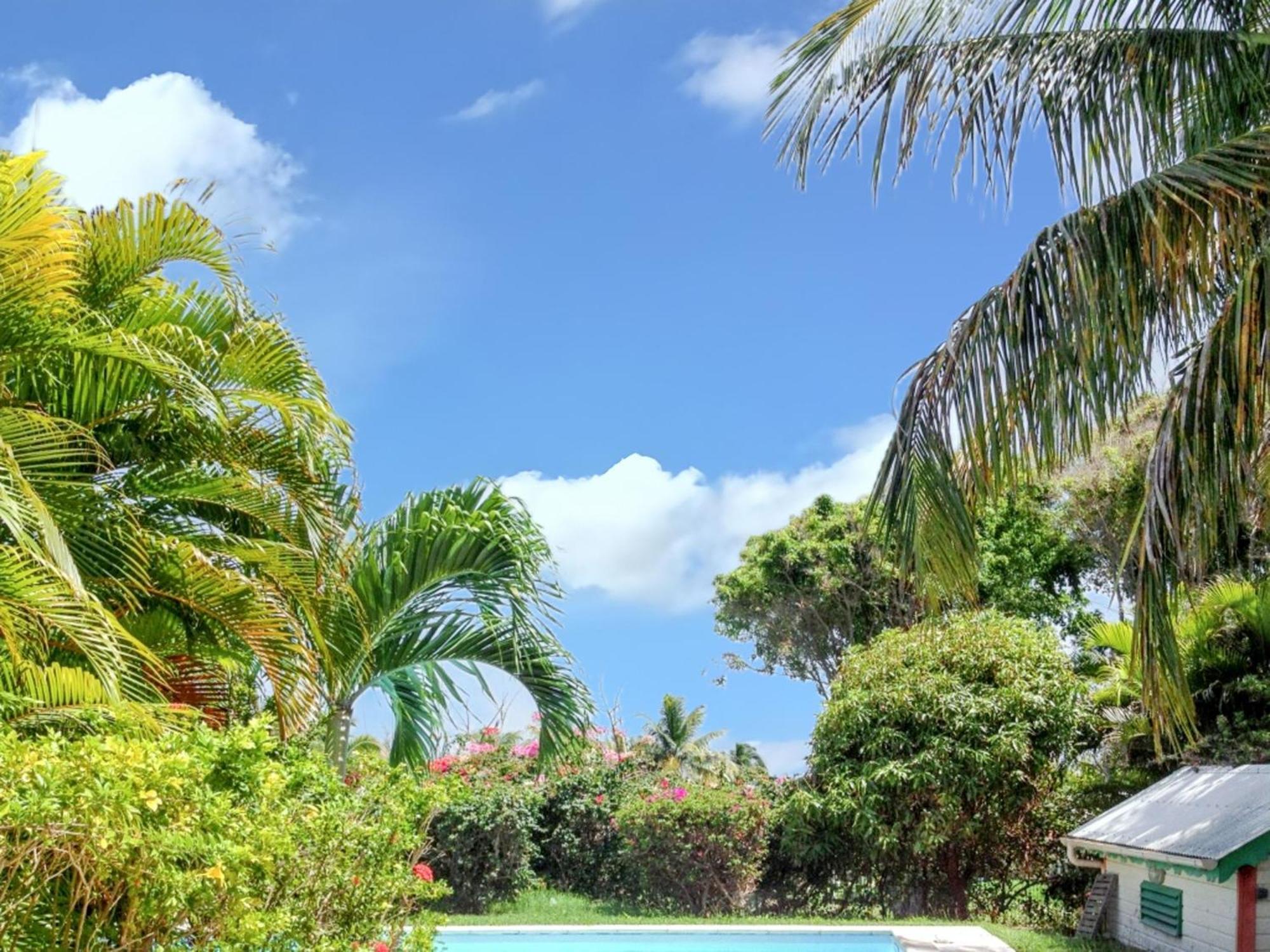 De 3 A Francois A 300 M De La Avec Piscine Privee Jardin Clos Et Wifi Villa *